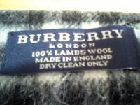 BurberryT_4.jpg